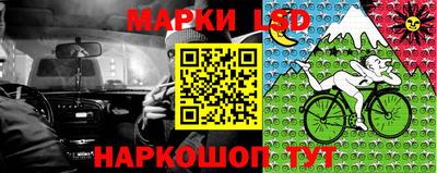 прущие грибы Краснодар
