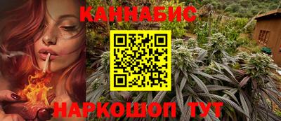 прущие грибы Краснодар