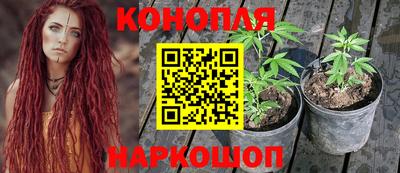 гашик Краснокаменск