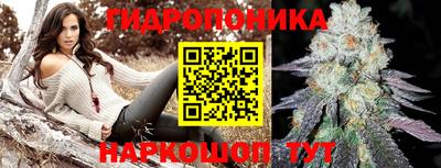 прущие грибы Краснодар